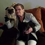 Profile Picture of JoAnn Moeller (@moellerjoann) on Instagram