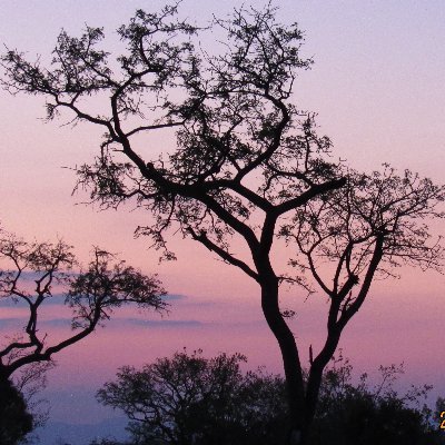 Profile Picture of 123 (@NancyChadwick5) on Twitter