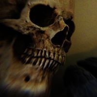 Profile Picture of Paul Lesch (@lesch0385) on Pinterest