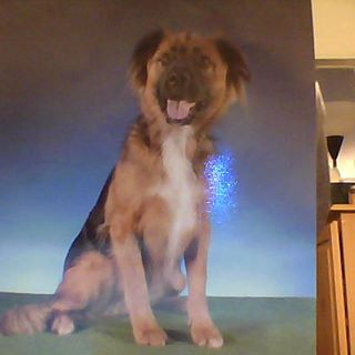 Profile Picture of Dawn Weinbaum (@Dawn-Weinbaum) on Facebook