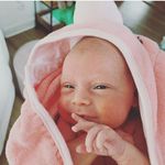 Profile Picture of Lynn Gorrell Grosch (@lynngrosch) on Instagram