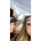 Profile Picture of   ava walsh... (@xava_walshx) on Tiktok