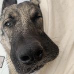 Profile Picture of Richard Erich Franzel (@richard.e.franzel) on Facebook