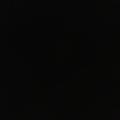 Profile Picture of Bryan Peyton (@@user9567185920695) on Tiktok