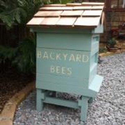 Profile Photo of Dawn-Lesley & Keith (@BackyardBeesUK) on Twitter