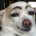 Profile Picture of Tyler Zielinski (@tylerz0563) on Pinterest