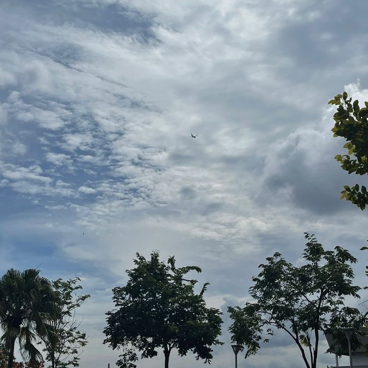 Profile Picture of Ghaint جٹی🤩 (@physico_jatti295) on Tiktok