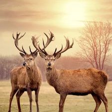 Profile Picture of Cai.hai.chang (@1098981610_cai) on Twitter