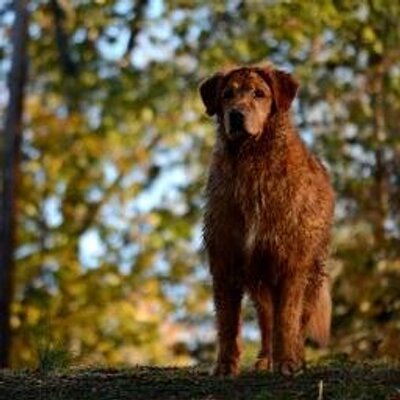 Profile Picture of James Merlo (@JamesMerlo) on Twitter