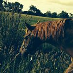 Profile Picture of Alice Carson (@alice.stewart.982) on Instagram