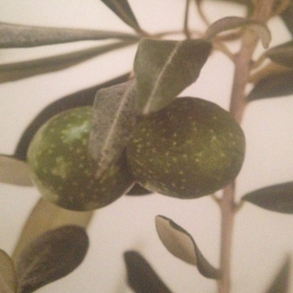 Profile Picture of Meghan Frandle (@nutmeg271) on Poshmark