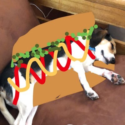 Profile Picture of Brendan Mayer (@dragonmayer) on Twitter