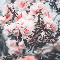 Profile Picture of Elisabeth Andrews (@elisabeth-andrews-3) on Quora