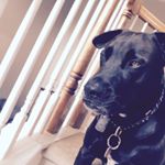 Profile Picture of John Sherby (@sk84days) on Instagram