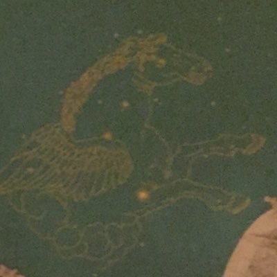 Profile Picture of Jack Villandre (@acksckjack) on Twitter