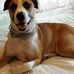 Profile Picture of Joanne Hoyt (@joanne.hoyt.944) on Facebook