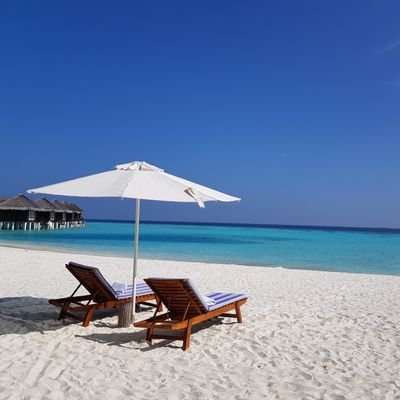 Profile Picture of Kim Hollands (@kim_hollands) on Twitter