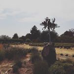 Profile Picture of Judith Basile (@crystalbrooklavenderfarm) on Instagram