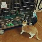 Profile Picture of   Michaela Taryn Hogan... (@michaelataryn) on Tiktok