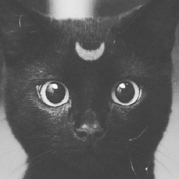 Profile Picture of Kim Rojas (@pose_a_la_mode) on Poshmark