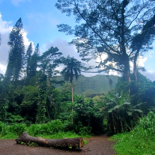 Profile Picture of Sarah Eifel (@saraheifel) on Tiktok