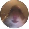 Profile Picture of David Aschenberner (@@d6vi6d) on Tiktok