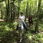 Profile Picture of Terry Follensbee (@follensbeeterry) on Instagram