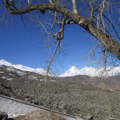 Profile Picture of Subhash Acharya (@subhashach18) on Twitter