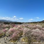 Profile Picture of 太田実沙子 (@misako_ota) on Instagram