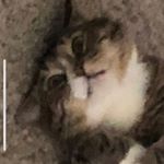 Profile Picture of Joshua Jowers (@the_joshua_jowers) on Instagram