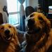 Profile Picture of Kitty Duncan (@Kitty-Duncan) on Facebook