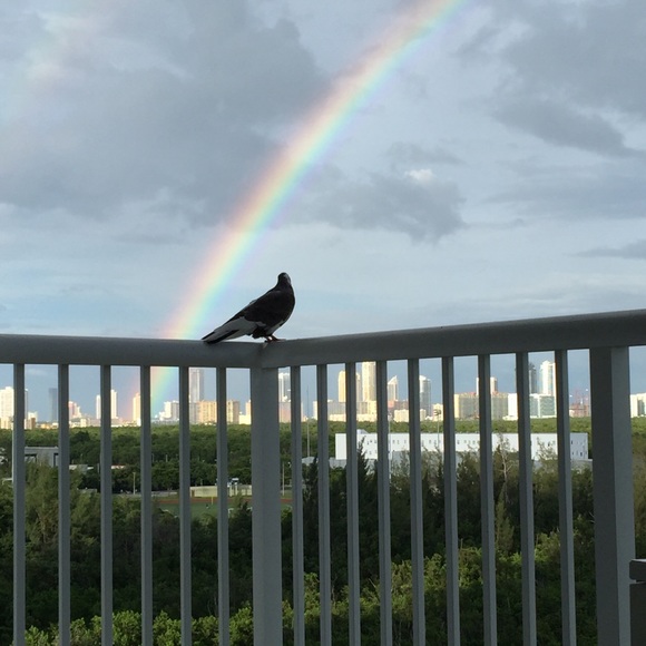 Profile Picture of Bora Kisacik (@borajan) on Poshmark