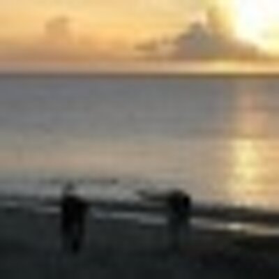 Profile Picture of Darren Holman (@dholman1) on Twitter