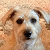 Profile Picture of Edward Mckinney (@edwardmckinney1916) on Youtube