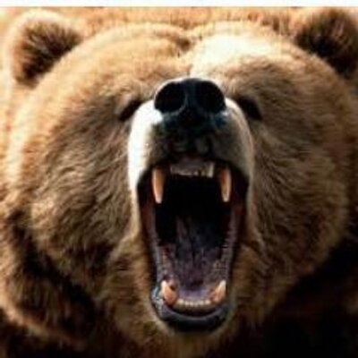 Profile Picture of MaddogWLV (@Kevin_J_Madden) on Twitter