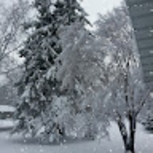 Profile Picture of Brooke Groesche (@brookieg0705) on Poshmark