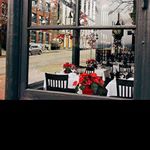 Profile Picture of terramurphy (@terramurphy) on Instagram