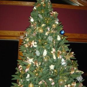 Profile Picture of Debbie Reneau (@129273448) on Myspace