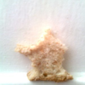 Profile Picture of Virginie Coulom (@virgilie) on Myspace