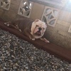 Profile Picture of Vicky chadwick (@@vicky.chad) on Tiktok