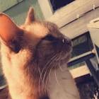 Profile Picture of   ♡︎ᑎIᑕOᒪᗴ♡︎☽(@nicole._e) |... (@nicole._e) on Tiktok