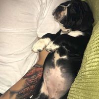 Profile Picture of Josh Ball (@josh-ball-35) on Quora