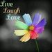Profile Picture of Lori Kiefer (@lorikiefer) on Pinterest