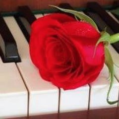 Profile Picture of Michele Soyer (@SoyerMichele) on Twitter