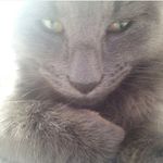 Profile Picture of Ollie Bartram (@ollie_brewers) on Instagram