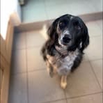 Profile Picture of Louisa Cavanagh (@louisa.henderson.7731) on Facebook