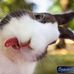 Profile Picture of David Catherson (@david.catherson.3) on Facebook