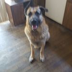 Profile Picture of Dennis Wolfe (@dennis.wolfe.9022) on Instagram