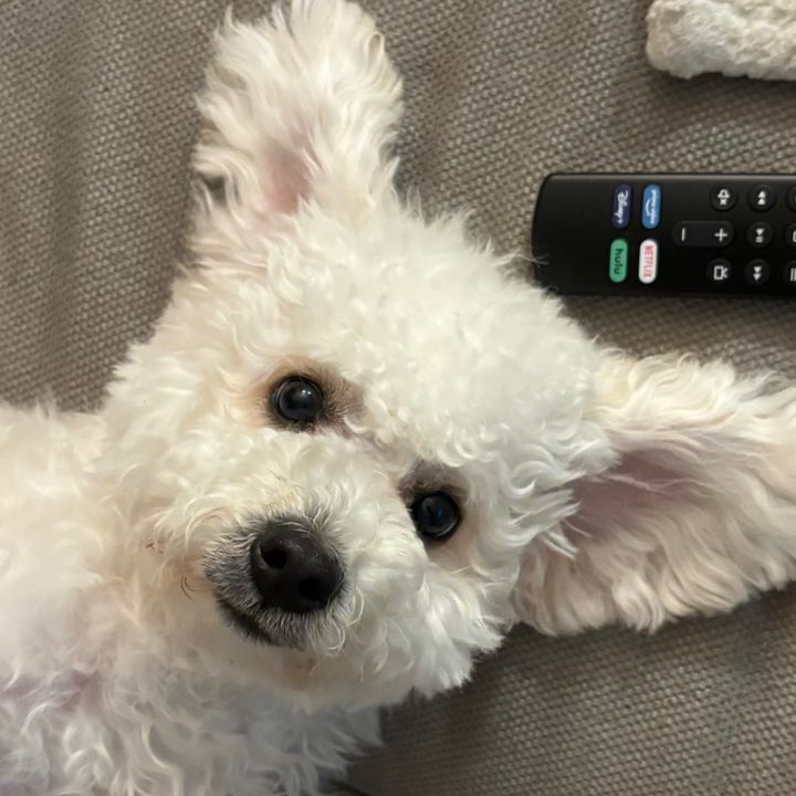 Profile Picture of Randysipin (@randysipin) on Tiktok