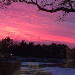 Profile Picture of Dan Ludwig (@danluds) on Instagram